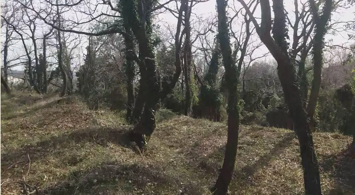 Zauzima povrsinu od 975m2