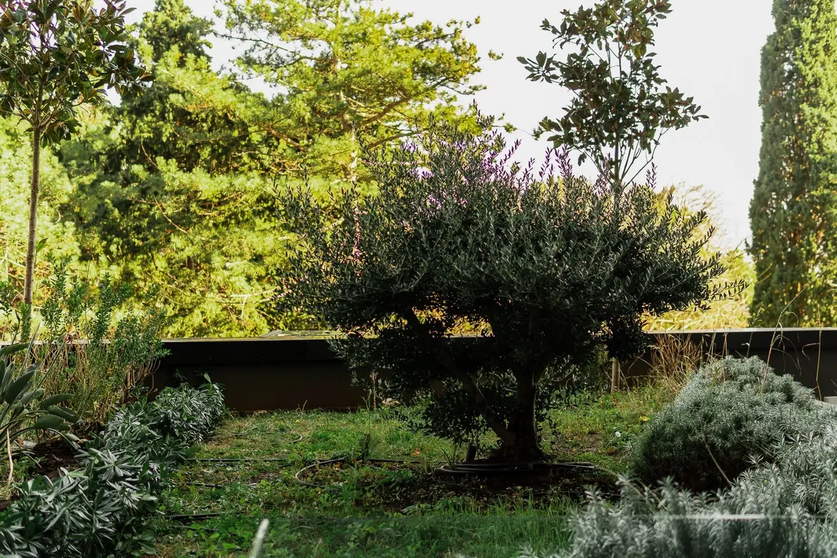 Stanu pripada i zelena terasa povrsine 30m2