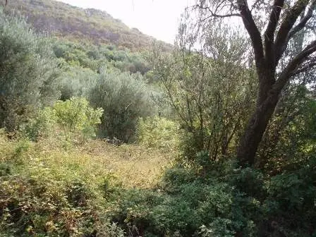 Zauzima povrsinu od 3561m2